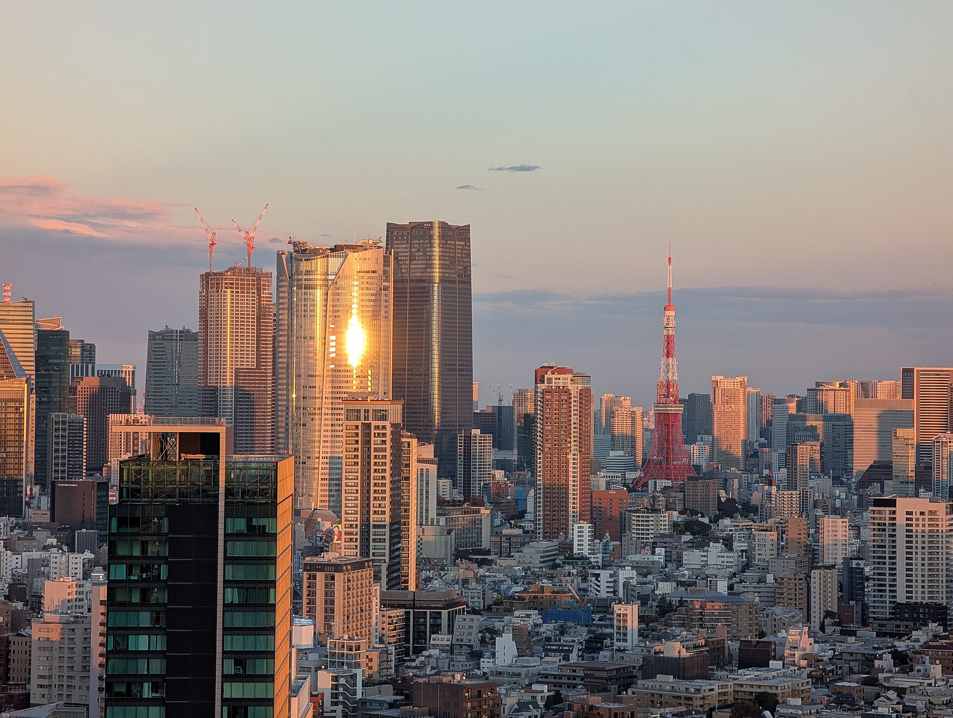 Shibuya Rooftops